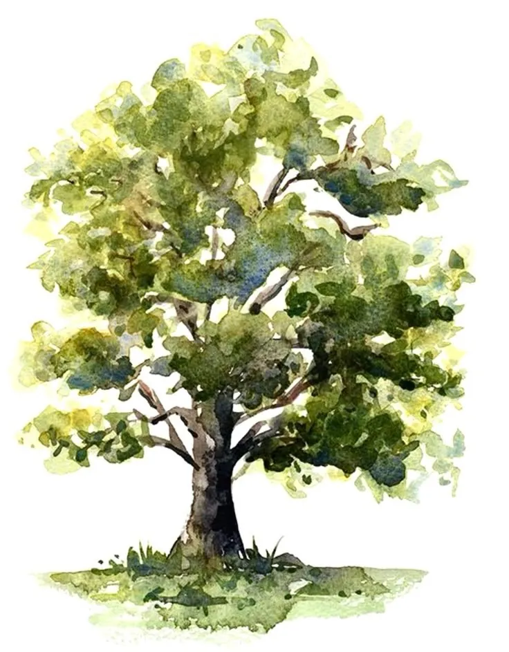 Illustration Arbre Castel de Bois